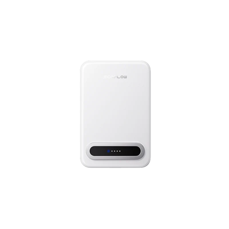 EcoFlow RAPID Mag Qi2 Power Bank (10K, 15W) + RAPID 65W GaN Charger with 100W Cable