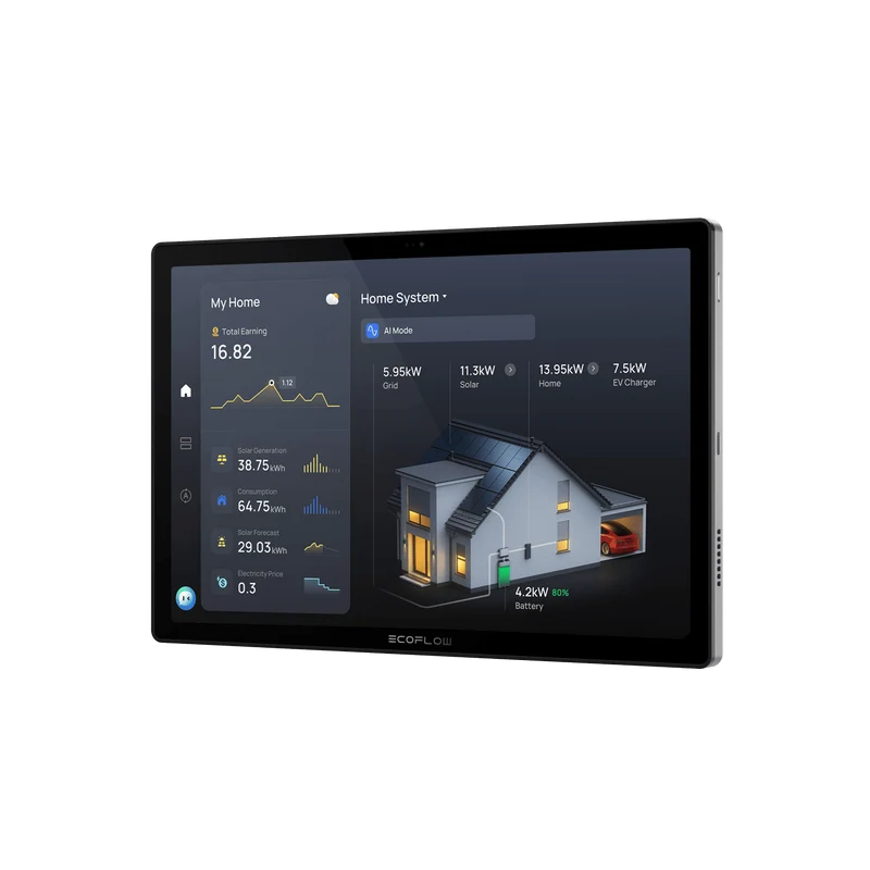 EcoFlow PowerInsight 2