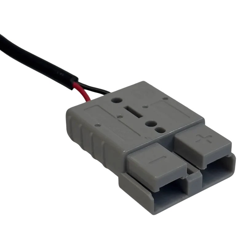 Chargeur LiFePO4 29.2V 5A connecteur Anderson batterie 24V