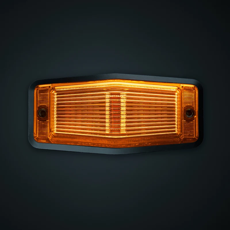Guirlande lumineuse LED à double brûleur avec stroboscope et lentille ambrée