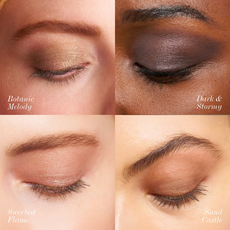 ReDimension Hydra Eyes Quartet