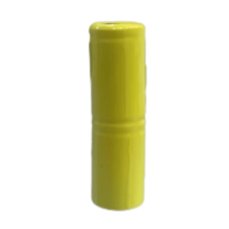 Batterie 2.4V 500mAh Ni-MH brosse à dents Philips Oral-B pack 2x 1/2AA