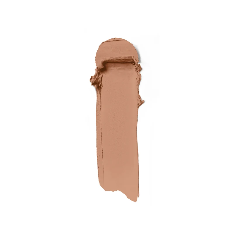 Skin Rewind Complexion Stick Fond de Teint