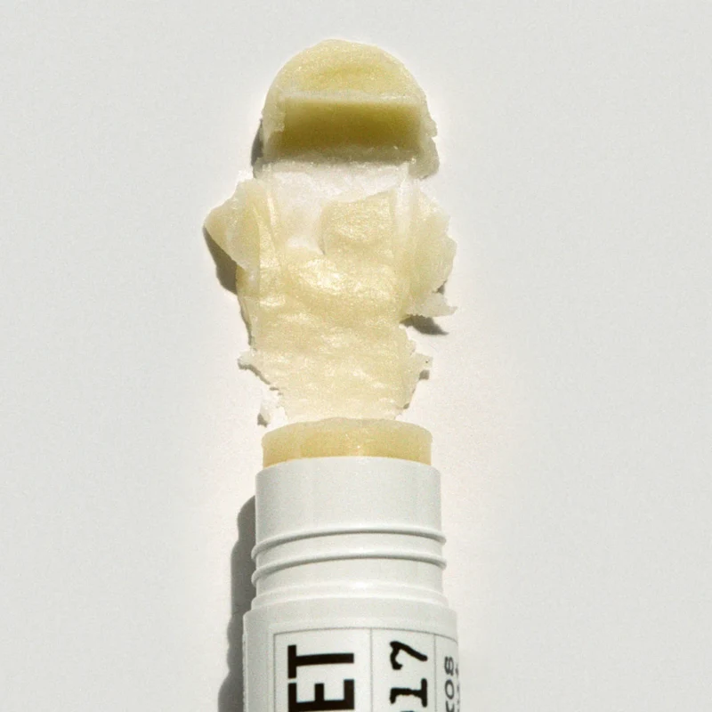 Lip Balm Baume à Lèvres Protecteur 017