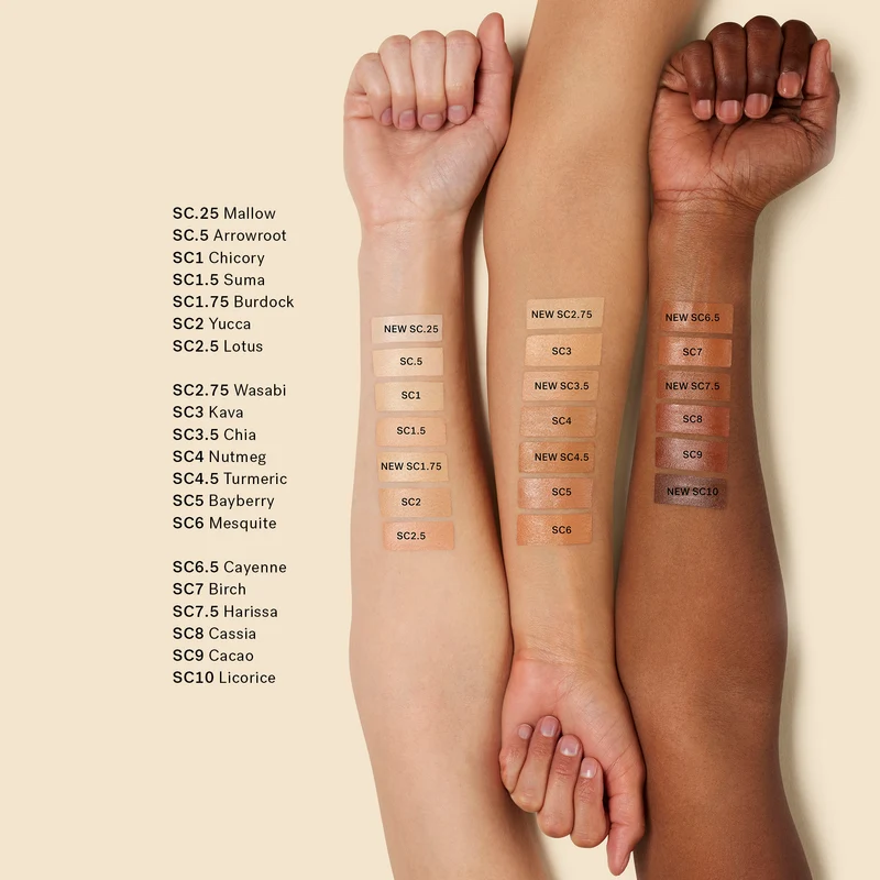 True Skin Serum Concealer Correcteur de Teint