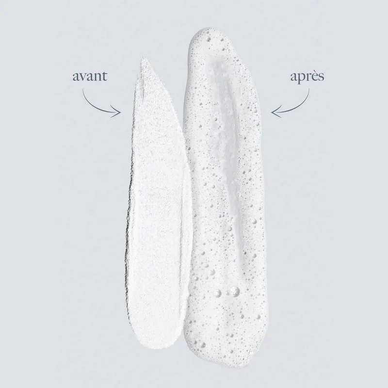 Daily Microfoliant Exfoliant Poudre