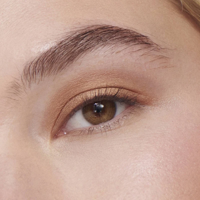 Liquid Powder Chromatic Eye Tint Fard à Paupières Crème