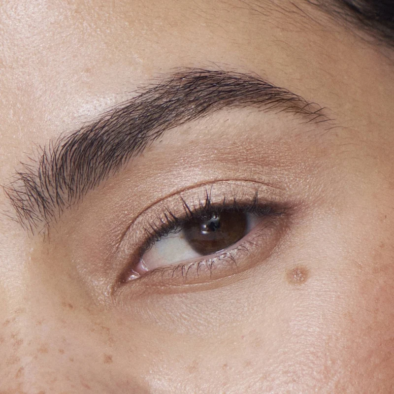 Liquid Powder Chromatic Eye Tint Fard à Paupières Crème