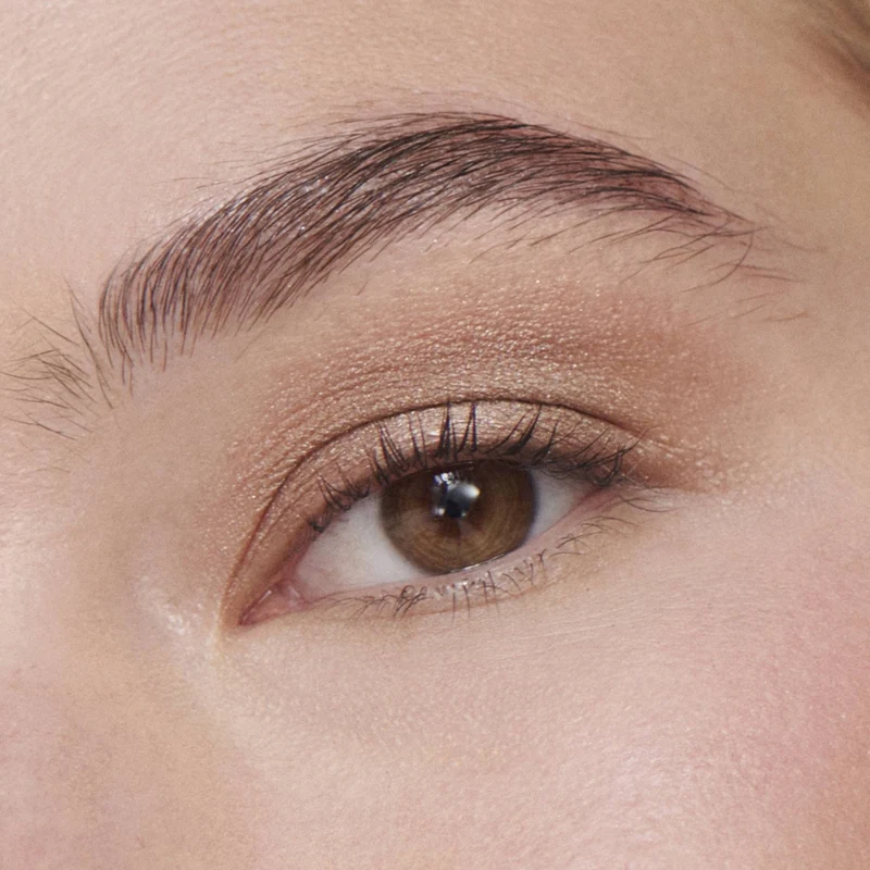 Liquid Powder Chromatic Eye Tint Fard à Paupières Crème