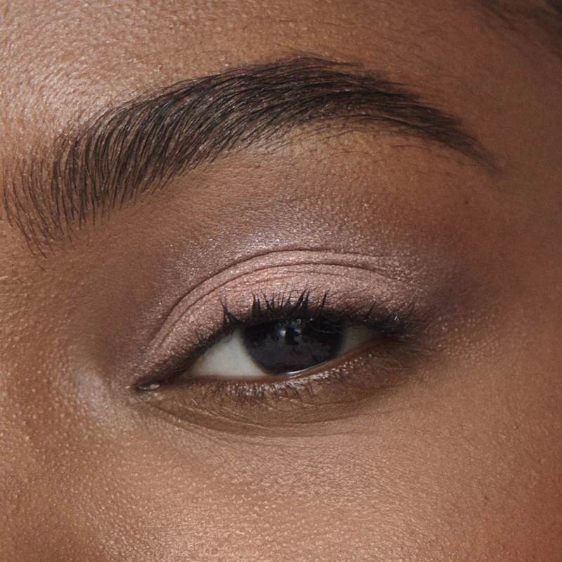 Liquid Powder Chromatic Eye Tint Fard à Paupières Crème