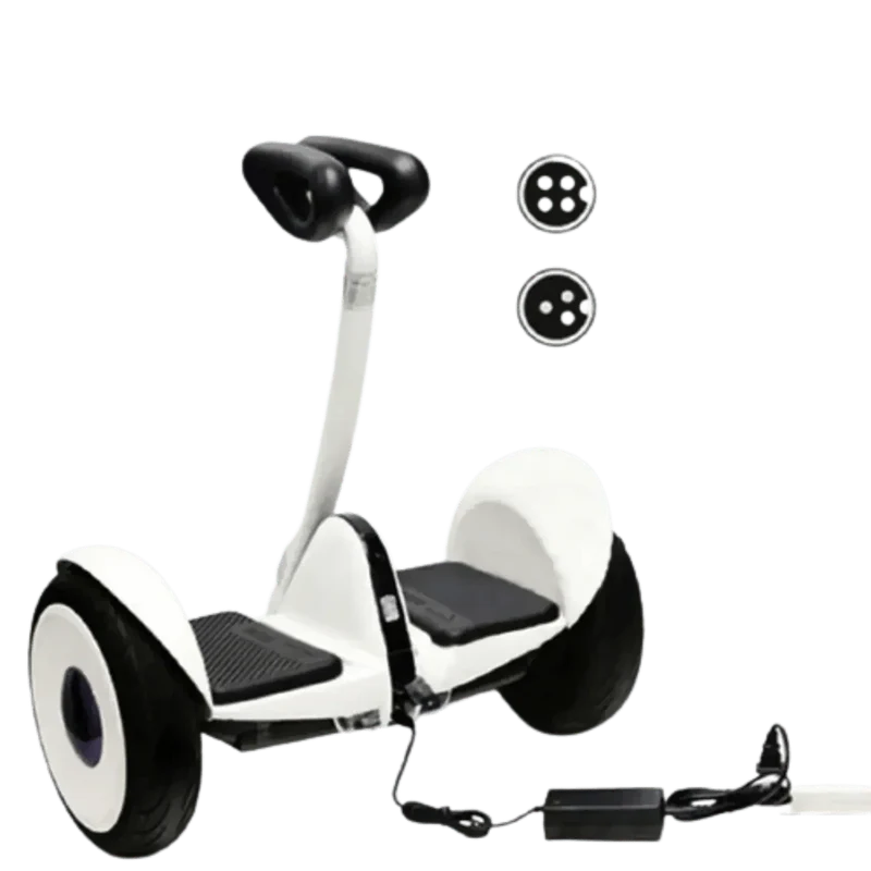 Chargeur 63V 1.1A fiche 3 Pins
