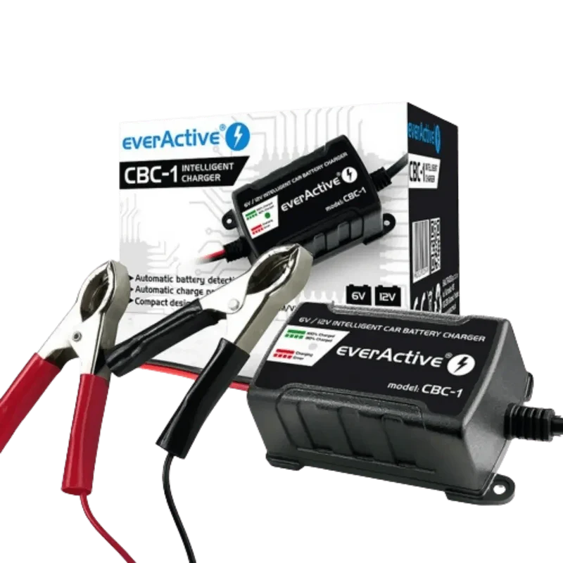 Chargeur intelligent pour batterie de véhicules 6V et 12V