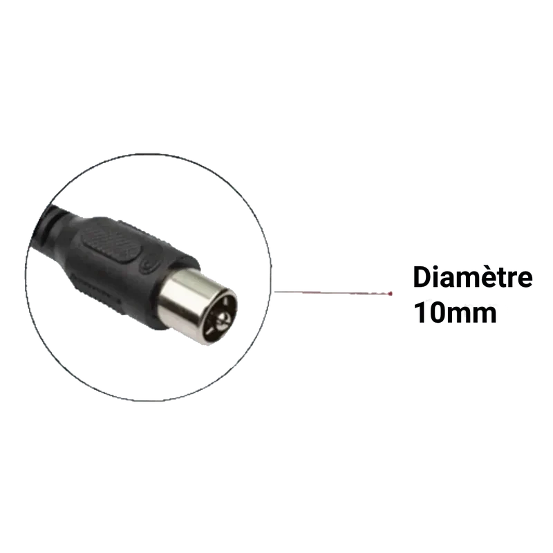 Chargeur de vélo électrique 54.6V 3A fiche RCA