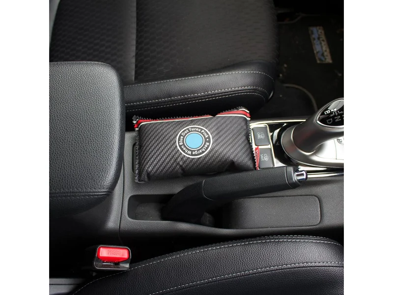 DÉSHUMIDIFICATEUR DE VOITURE RÉUTILISABLE PINGI 150 GR