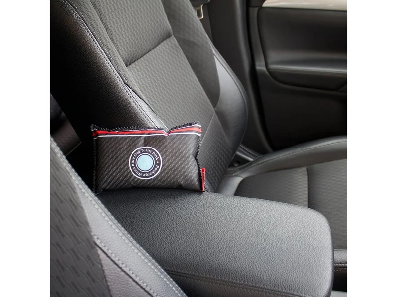 DÉSHUMIDIFICATEUR DE VOITURE RÉUTILISABLE PINGI 150 GR